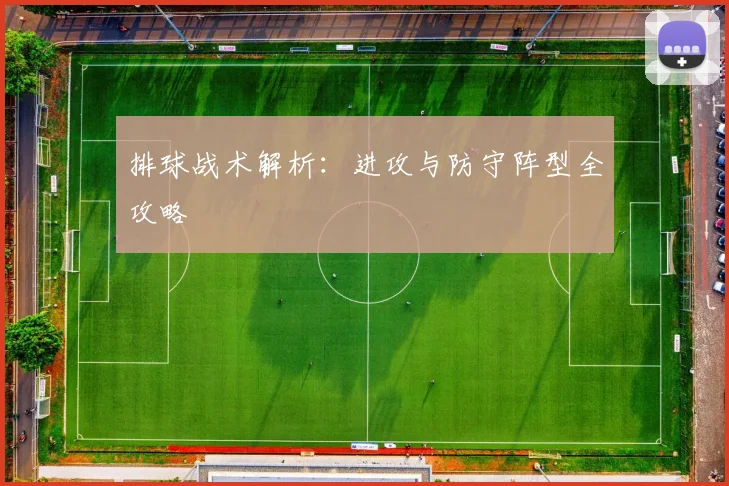 排球战术解析:进攻与防守阵型全攻略
