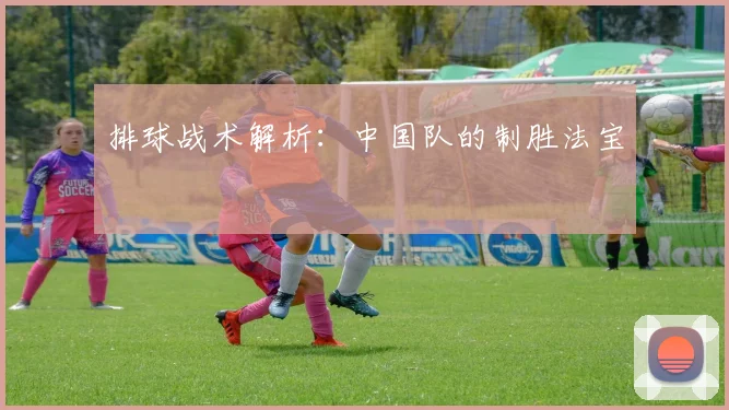 排球战术解析：中国队的制胜法宝