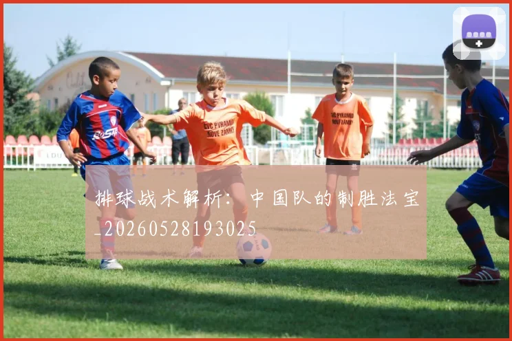 排球战术解析：中国队的制胜法宝_20260528193025