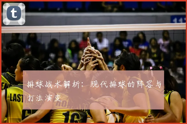 排球战术解析：现代排球的阵容与打法演变